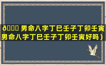 🐋 男命八字丁巳壬子丁卯壬寅（男命八字丁巳壬子丁卯壬寅好吗）